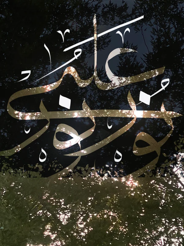 Arabic calligraphy layered over dark branches, leaves and points of sunlight.